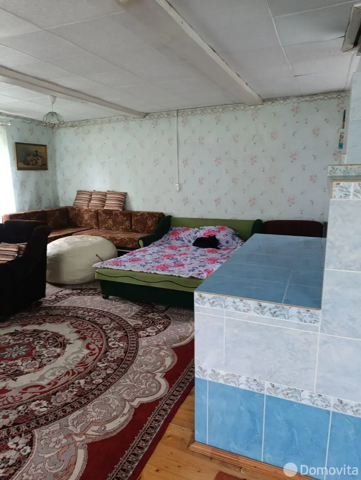 дом, Репище, ул. Центральная, д. 2