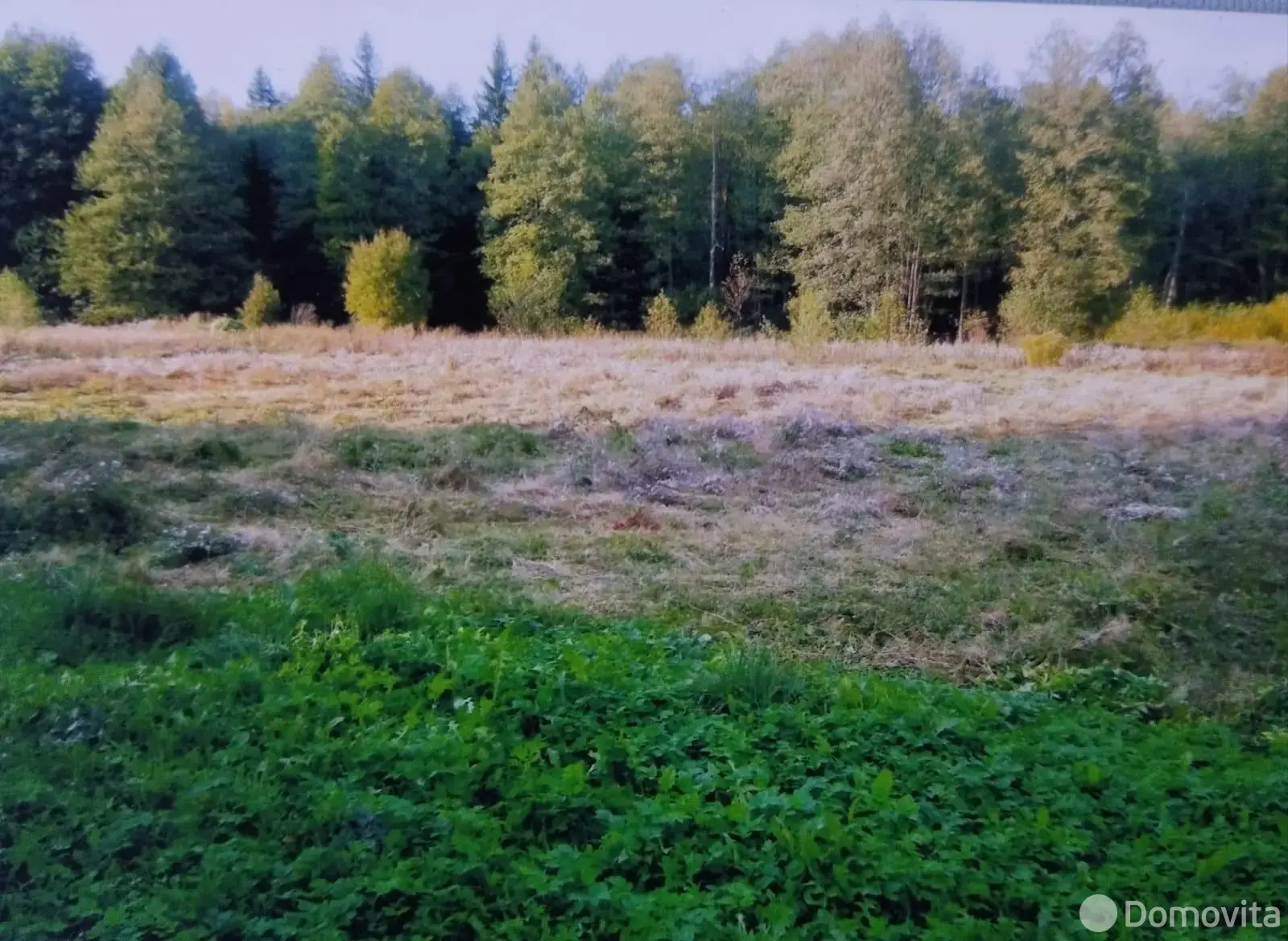 участок, Погребище, ул. Набережная, д. 26/а