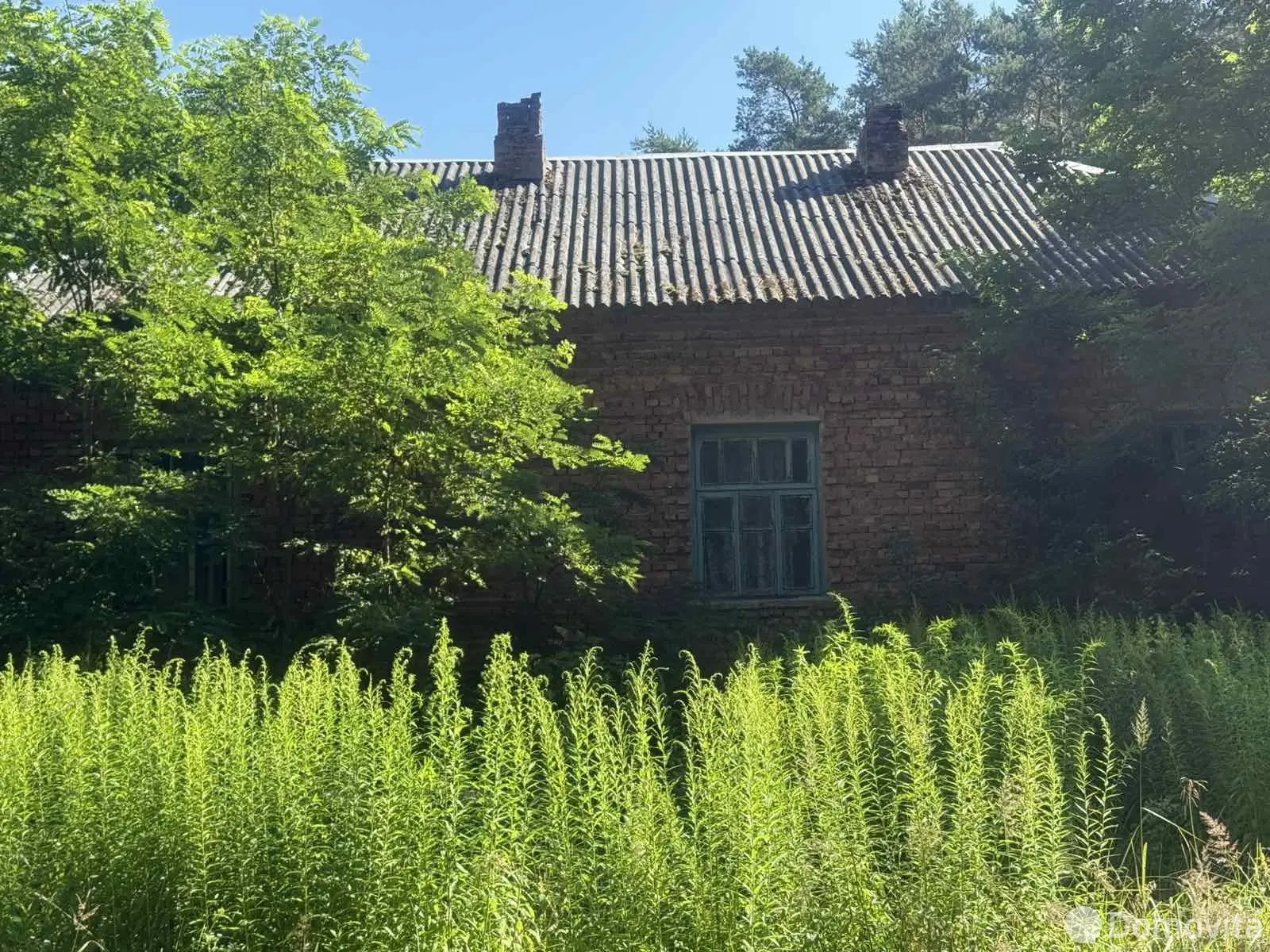 дом, Дмисевичи, 