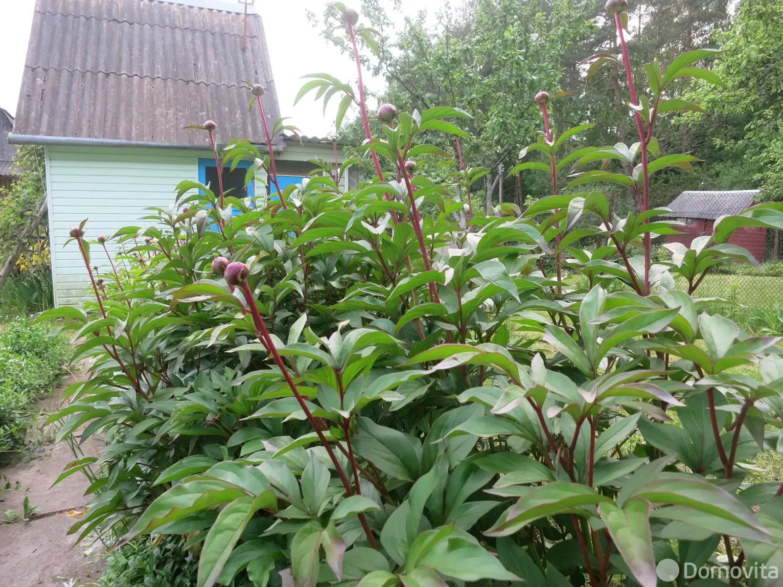 Продажа 2-этажной дачи в Искра Ракова Минская область, 12000USD, код 183113 - фото 22