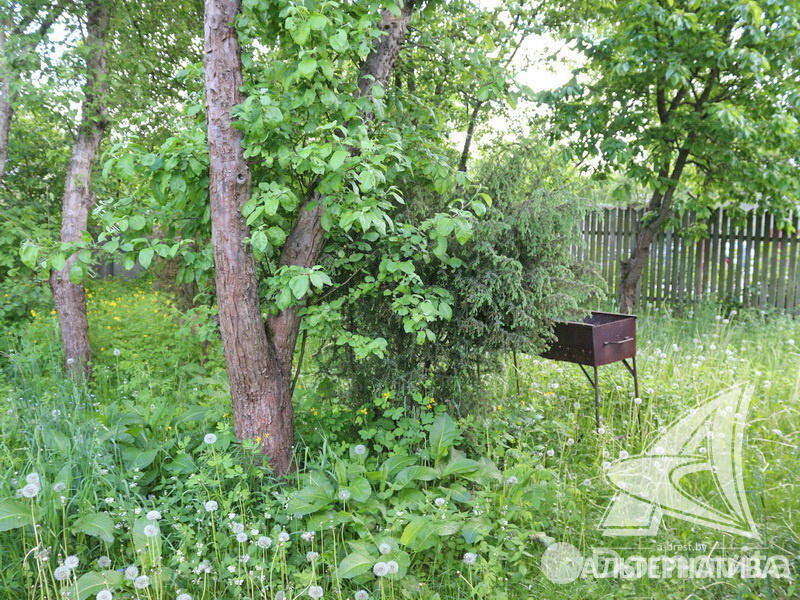 Купить 2-этажную дачу в Приозерное Брестская область, 14900USD, код 162084 - фото 17