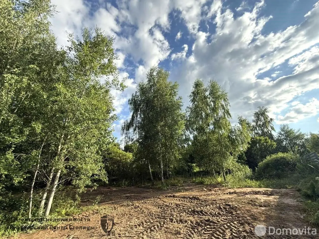 участок, Прилепы, ул. Рябиновая, д. 5, стоимость продажи 290 579 р.