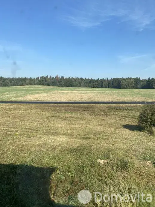 дом, Птичь, ул. Центральная, д. 54А