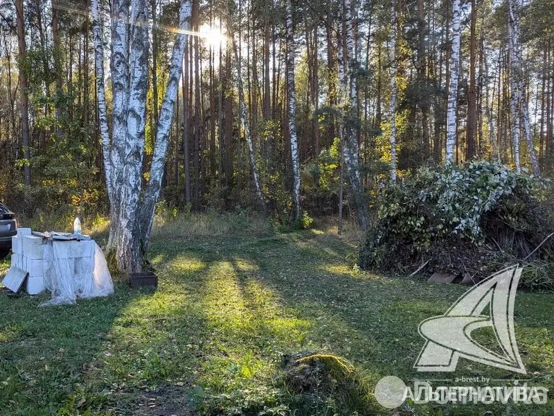 Продажа 2-этажной дачи в Ремонтник-2008 Брестская область, 40000USD, код 181651 - фото 20