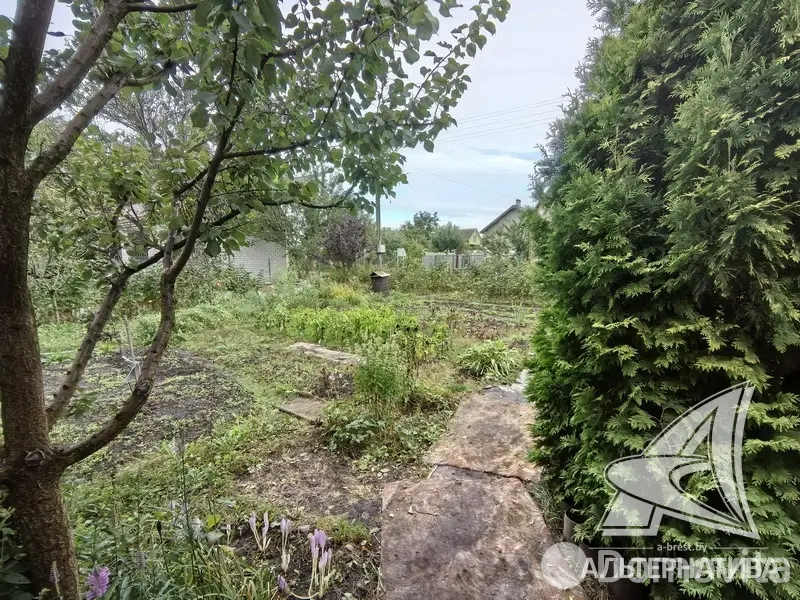 Продажа 1-этажной дачи в Керамик-1 Брестская область, 19000USD, код 184197 - фото 14