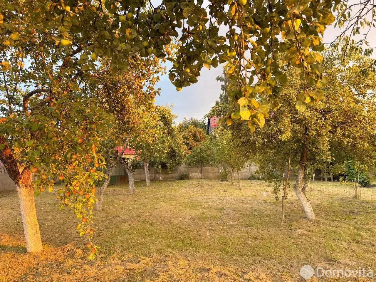 Купить земельный участок, 23.76 соток, Плитница, Минская область, 13000USD, код 572398 - фото 15