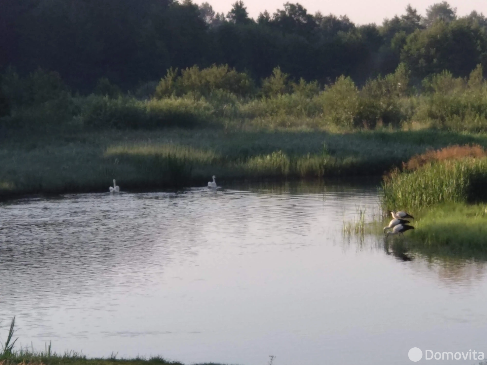 Купить земельный участок, 23 сотки, Кумельщина, Минская область, 29000USD, код 570514 - фото 17