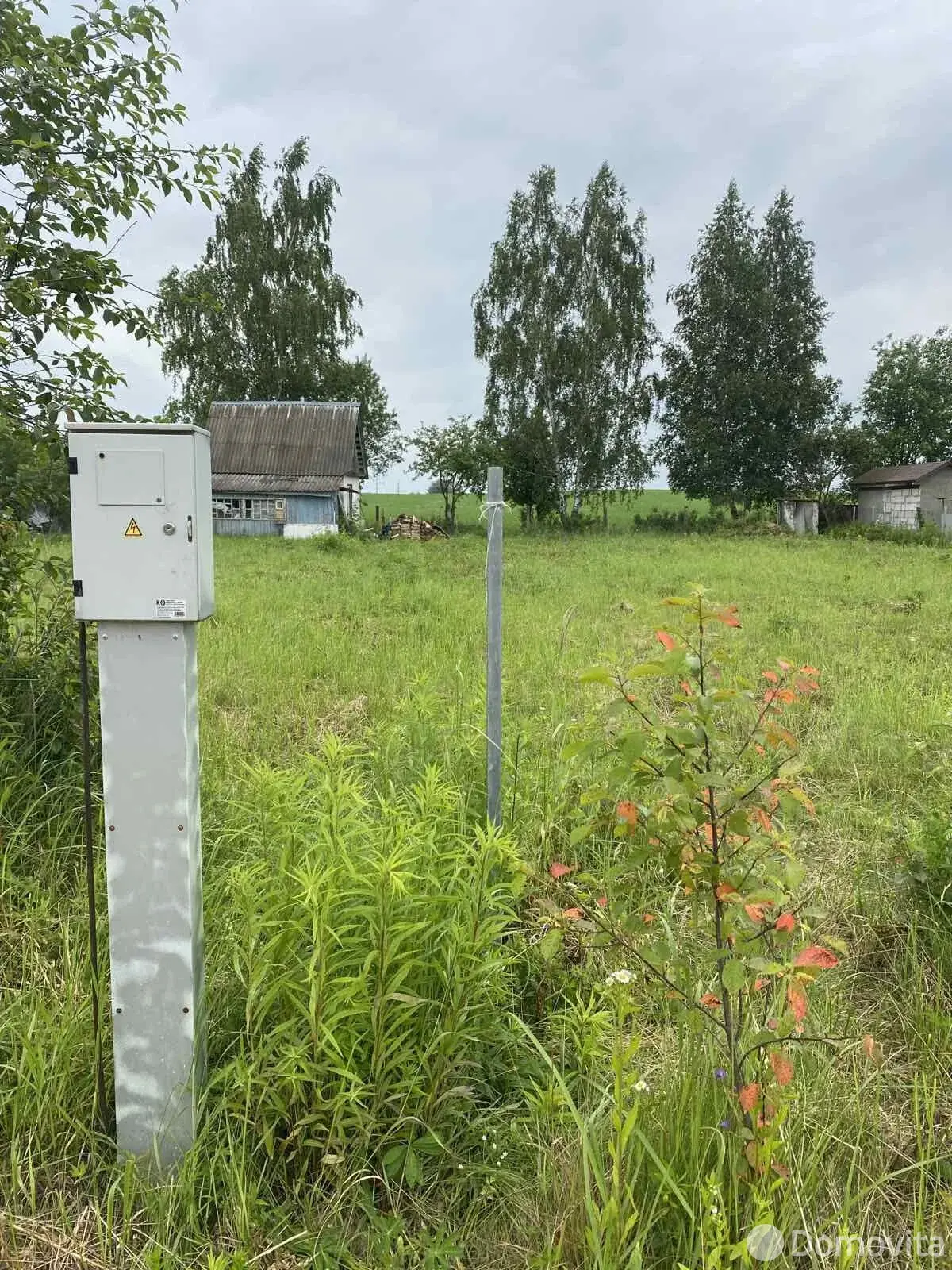 дача, Подлесное, д. 149