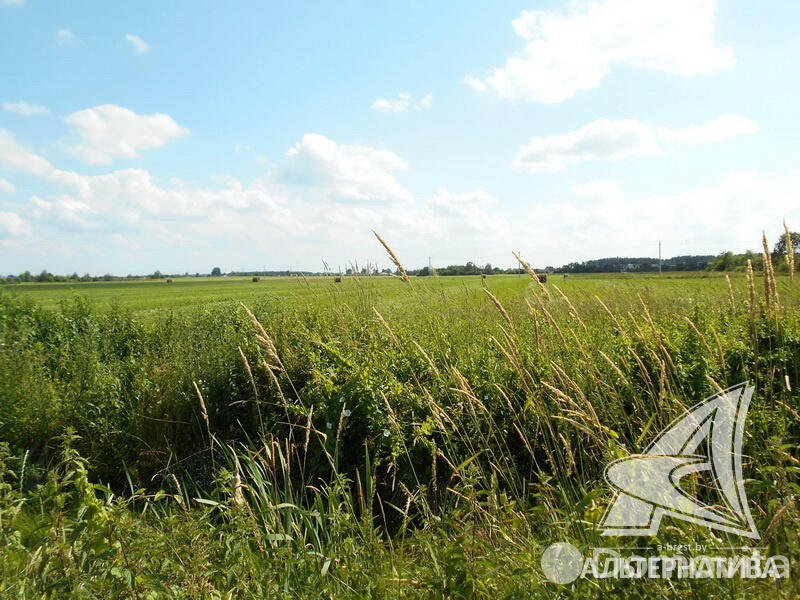 Купить 2-этажную дачу в Армеец-2 Брестская область, 24000USD, код 162181 - фото 16