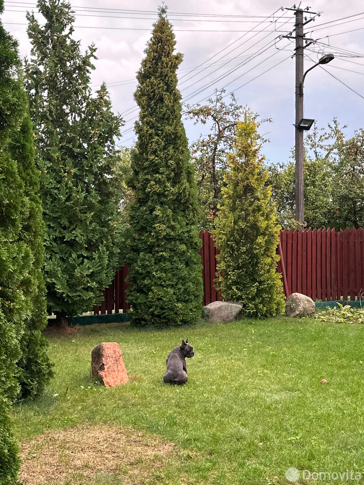 Купить 1-этажную дачу в Автомобилист-04 Минская область, 51900USD, код 185090 - фото 17