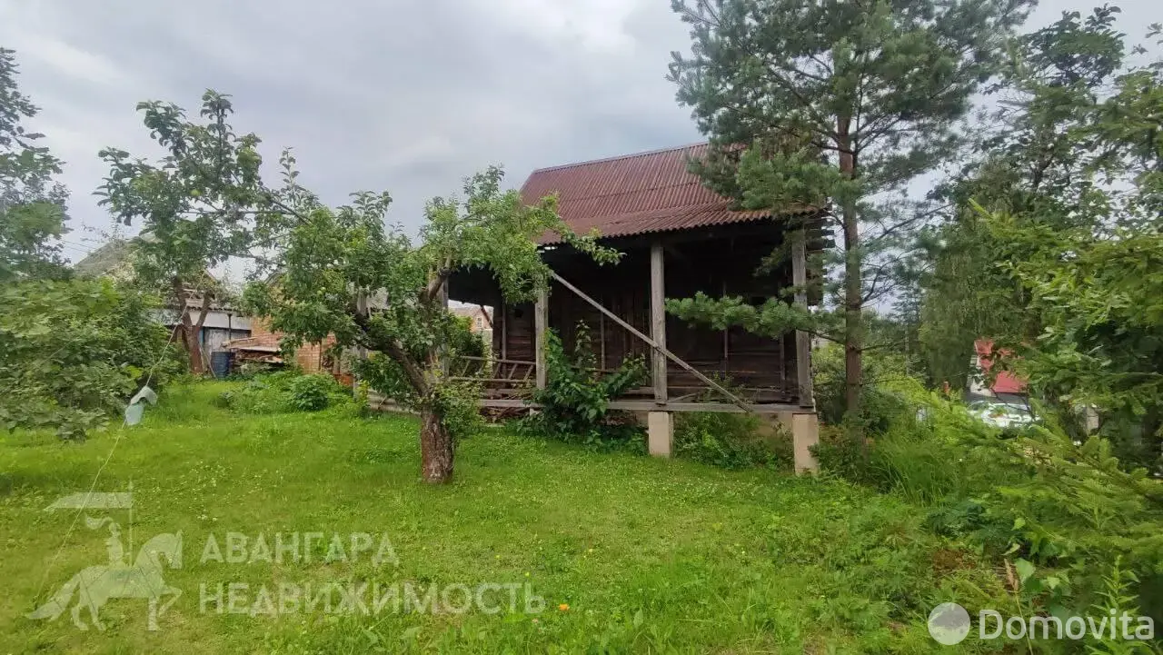 дача, Лесное-Белмедпрепараты, 