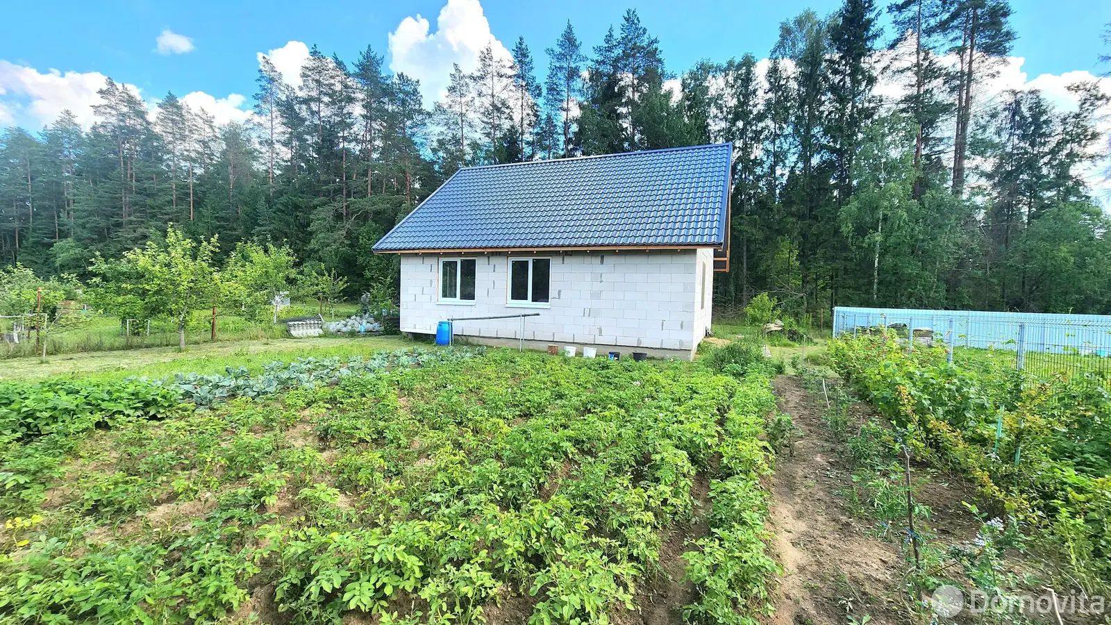 Купить земельный участок, 4.6 соток, Голубой факел, Минская область, 47000USD, код 569813 - фото 20