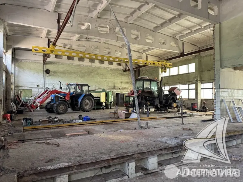объект сферы услуг, Борисово, 