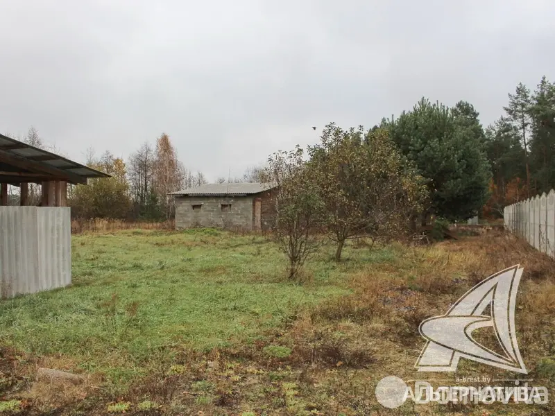 дом, Заболотье,
