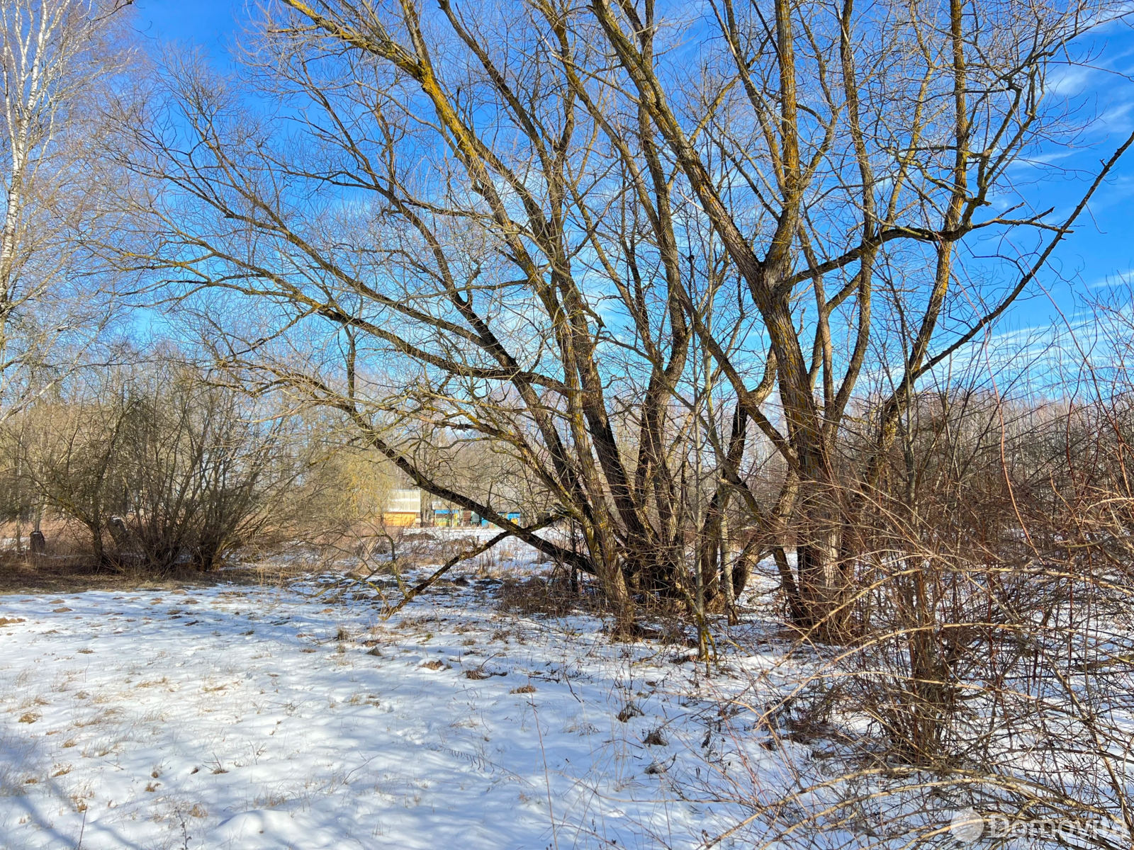 участок, Юрковичи, , стоимость продажи 42 804 р.