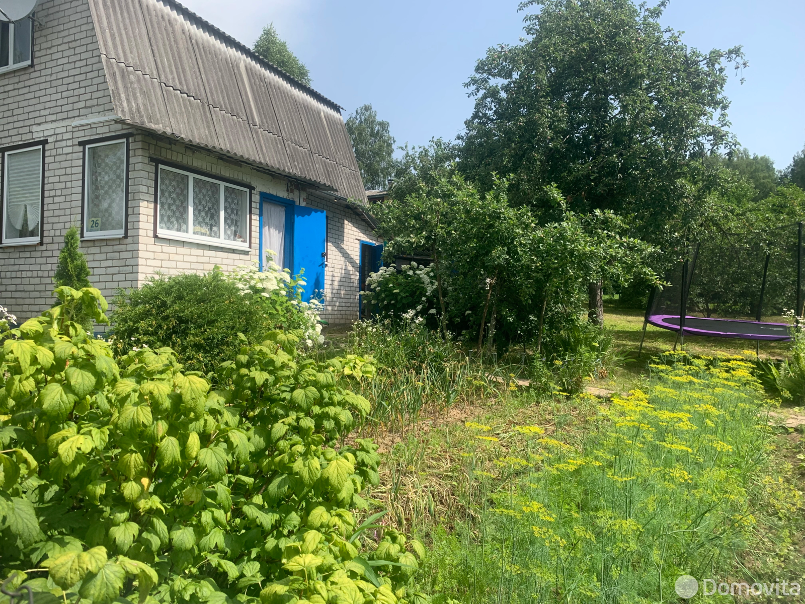 дача, Олехновичский сельсовет, , стоимость продажи 53 811 р.