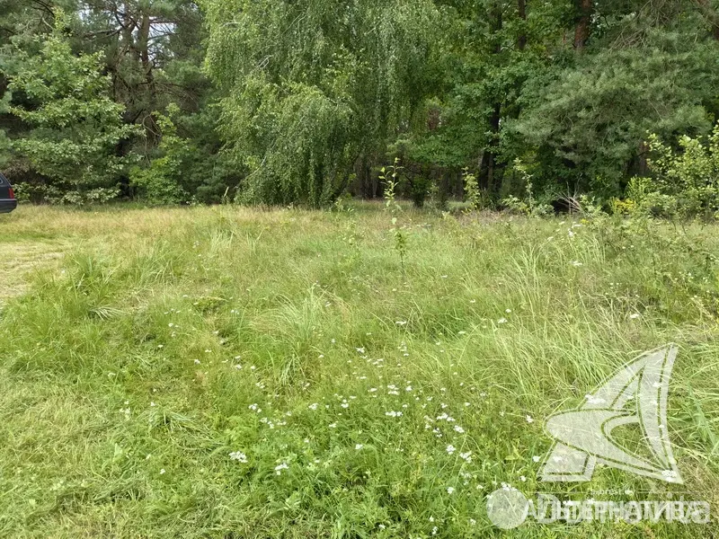 Купить 2-этажную дачу в Лаванда-Каменка Брестская область, 37000USD, код 183770 - фото 14