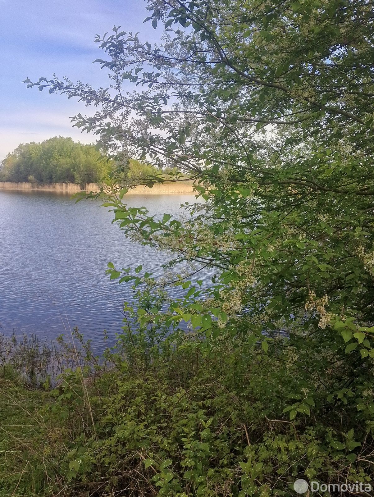 Продажа 1-этажной дачи в Старом Лепель Витебская область, 35000USD, код 182728 - фото 23