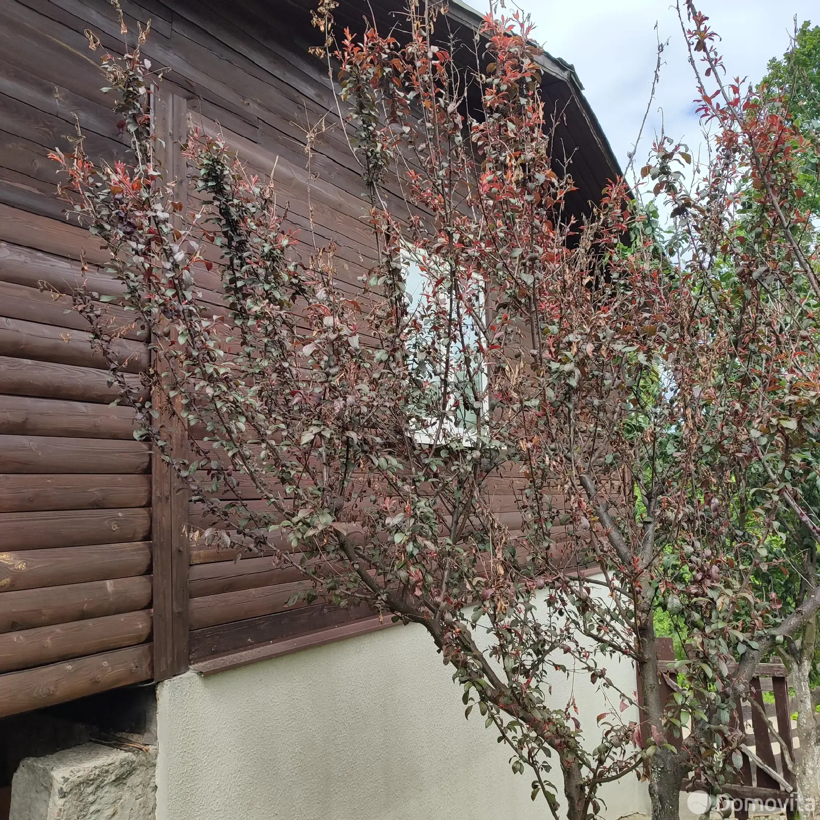 Продажа 2-этажной дачи в Факел Воложинский район Минская область, 30000USD, код 184196 - фото 16