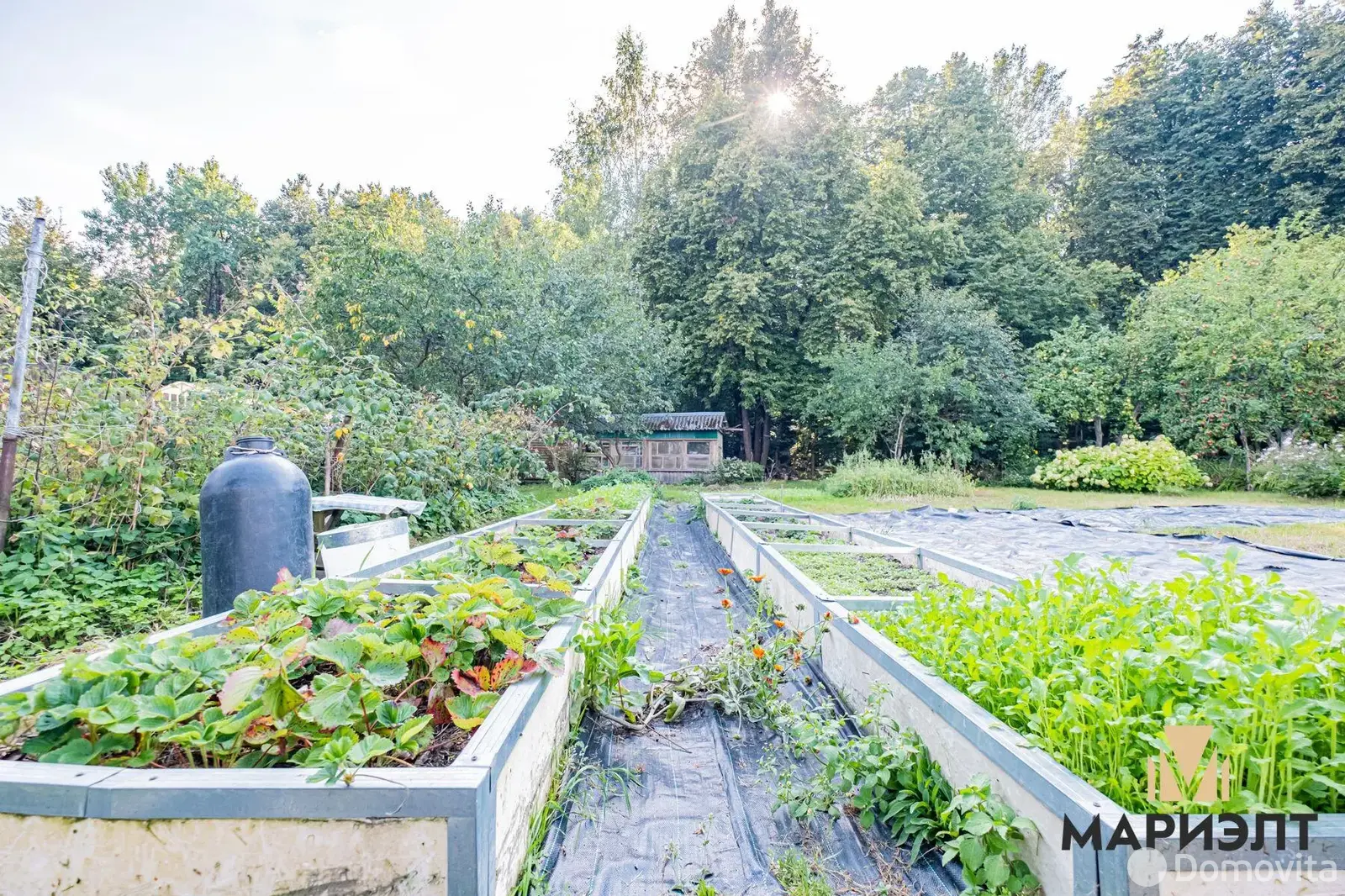 Купить земельный участок, 15 соток, ЯСЕВИЧИ, Минская область, 35000USD, код 570229 - фото 17