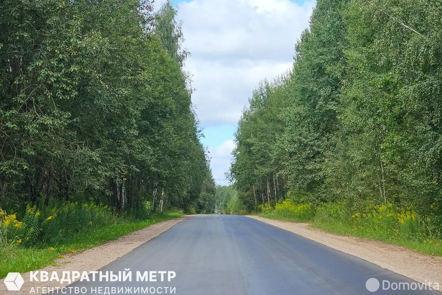Купить 1-этажную дачу в Надежда-АРДИ Минская область, 78000USD, код 185721 - фото 35