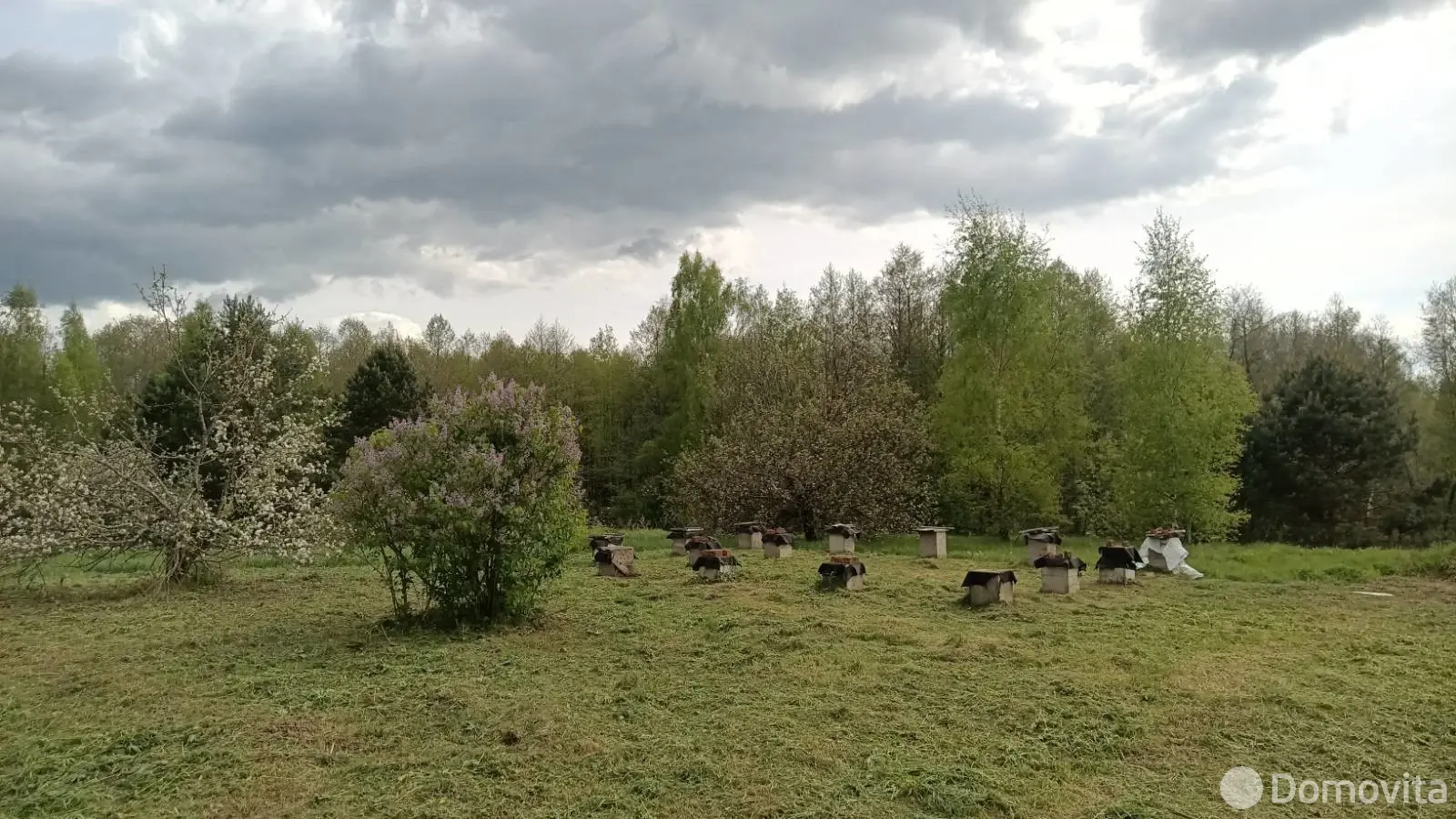 участок, Селезни, ул. Озёрная, д. 14 - лучшее предложение