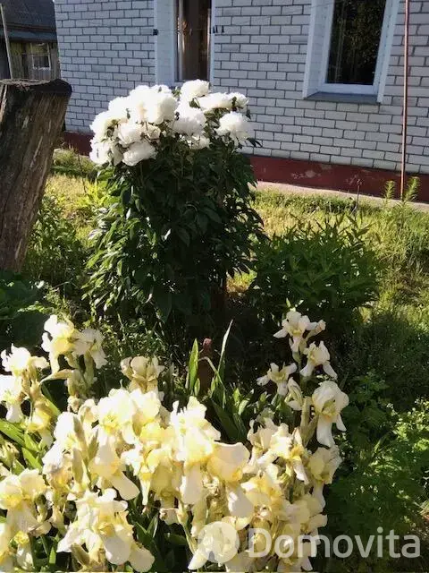 коттедж, Орша, пр-д Червенский, стоимость продажи 85 000 р.