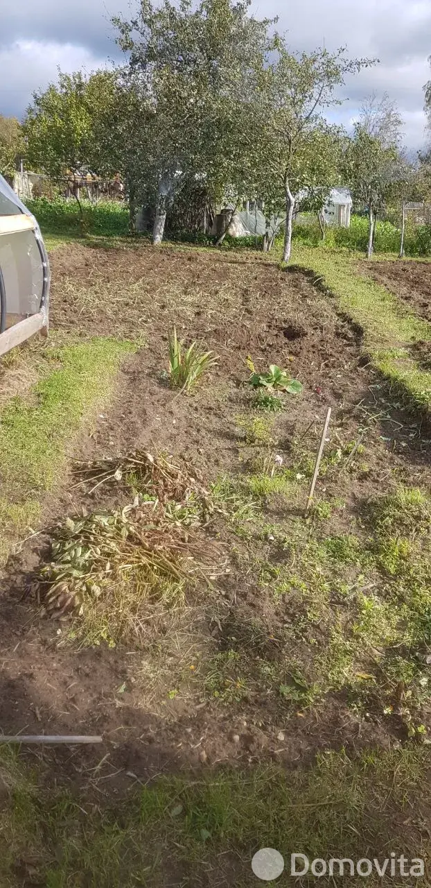 Купить земельный участок, 12 соток, Трикотаж, Витебская область, 3500USD, код 570321 - фото 16