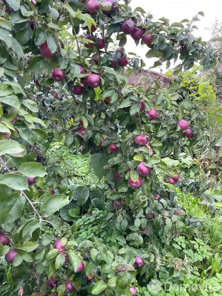 Продажа 2-этажной дачи в Горняк-7 Минская область, 15000USD, код 183005 - фото 11