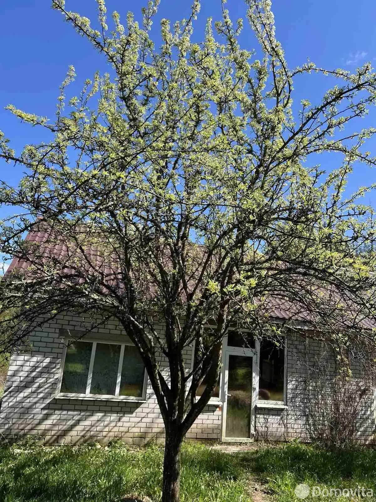 Купить 1-этажную дачу в Крапивниках Минская область, 40000USD, код 184318 - фото 1