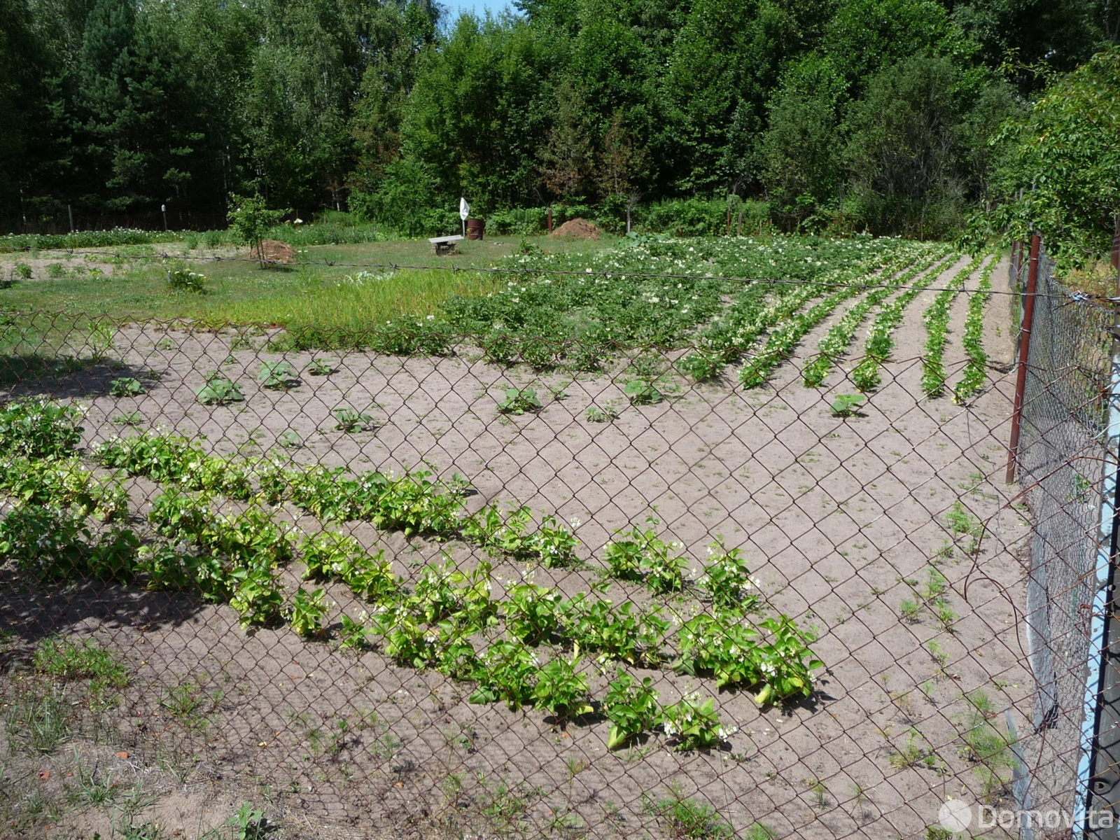 продажа дачи, Сосновый Бор-2, 