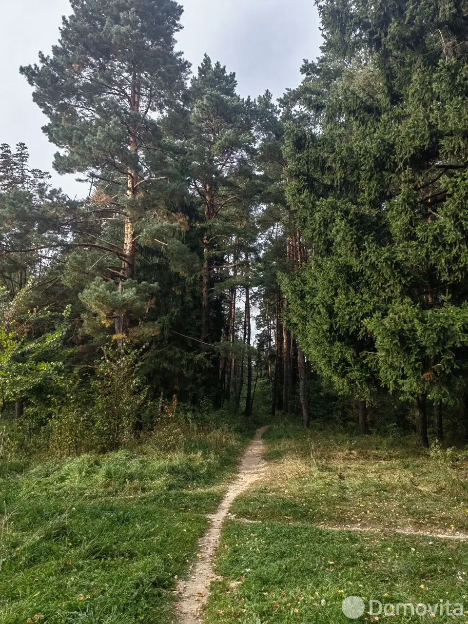 дом, Могилев, ул. Надточеева, д. 14 