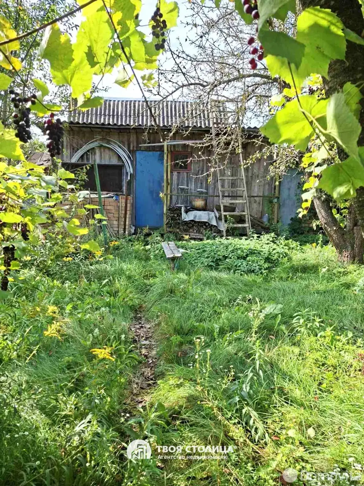 Купить 2-этажную дачу в Елочка Минская область, 12000USD, код 184169 - фото 11