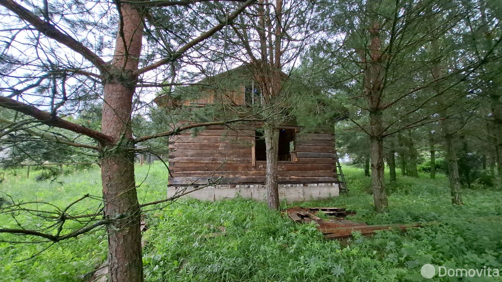 участок, Молоди, 