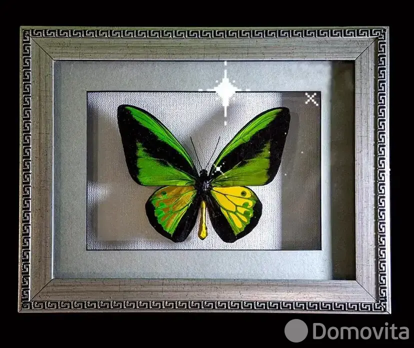 Купить торговое помещение на ул. Кирилла Туровского, д. 16 в Минске, 190000USD, код 998494 - фото 26