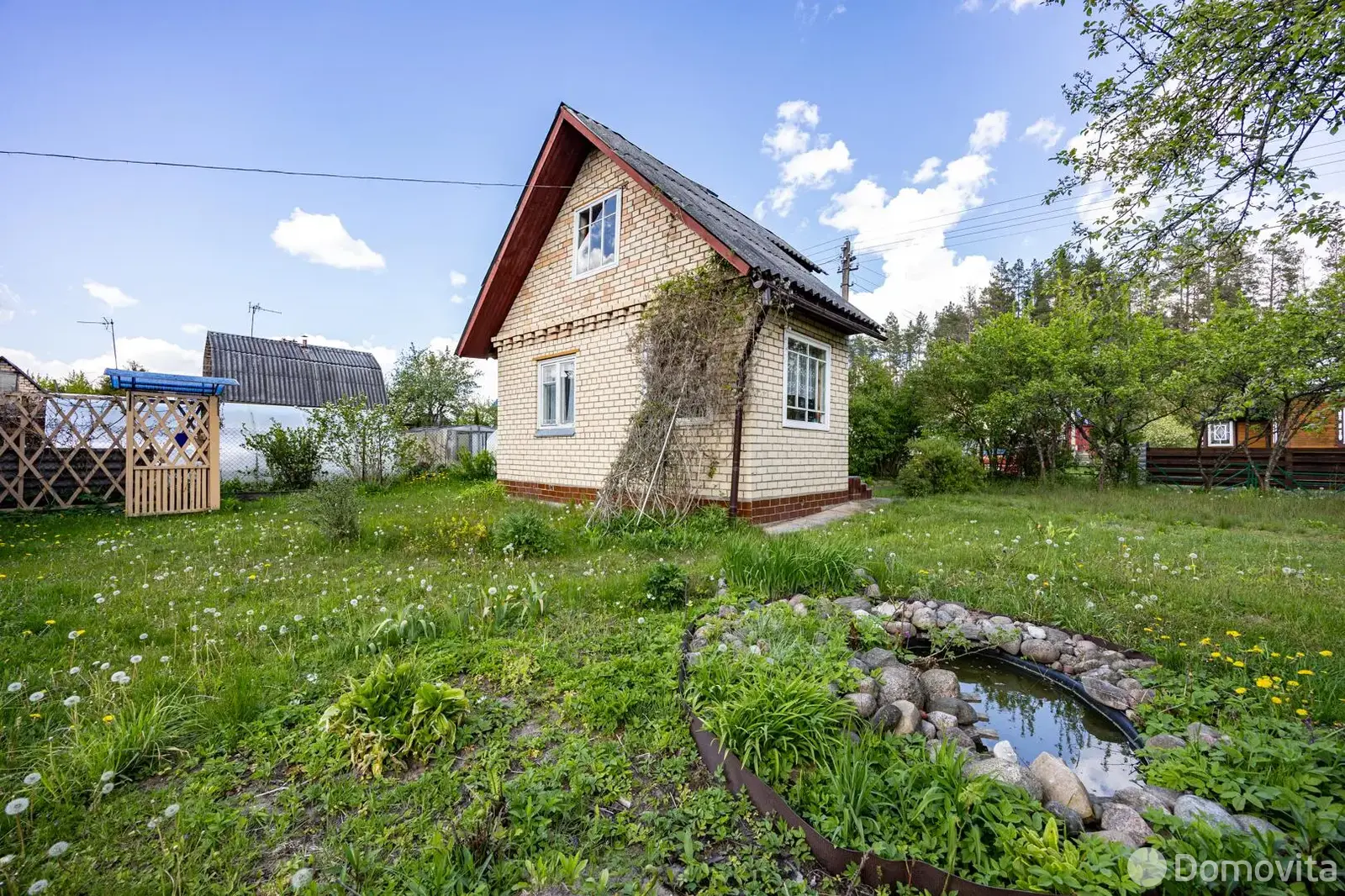 дача, Лесная поляна, 