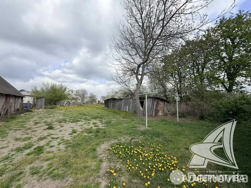 Купить земельный участок, 13.56 соток, Урожай ОАО Брестхлебопродукт, Брестская область, 20000USD, код 571890 - фото 5