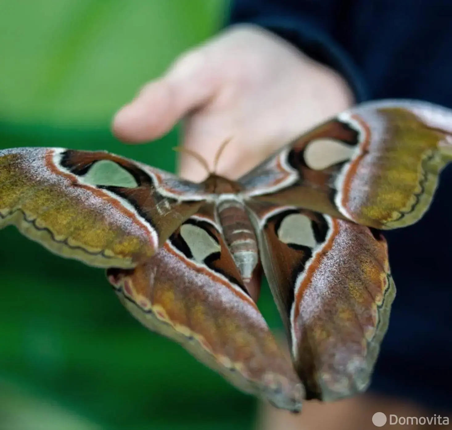 Купить помещение под сферу услуг в Минске, ул. Кирилла Туровского, д. 16 - фото 35
