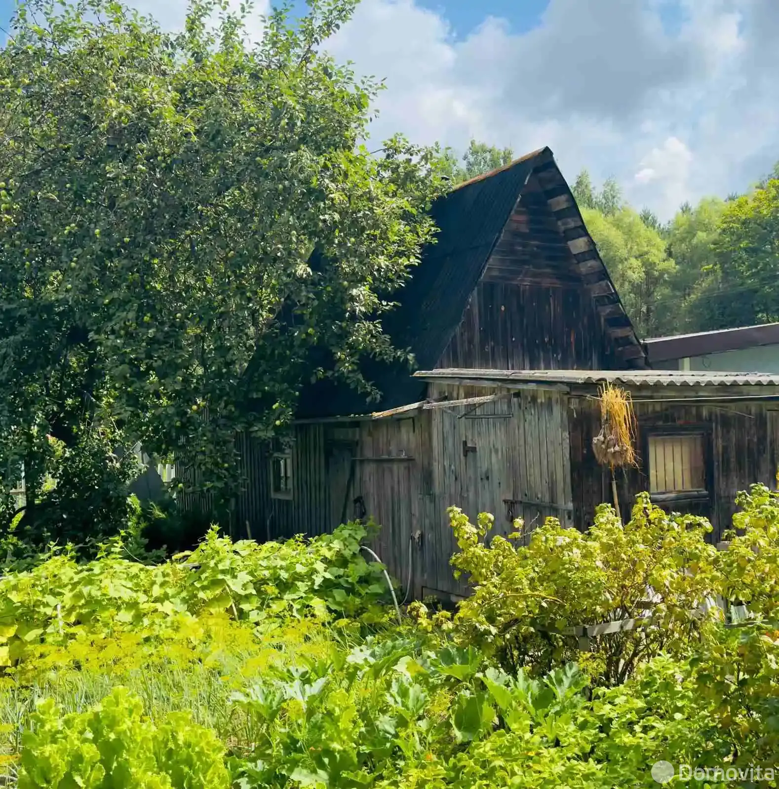 Продажа 1-этажной дачи в Минская область, 10900USD, код 185036 - фото 25