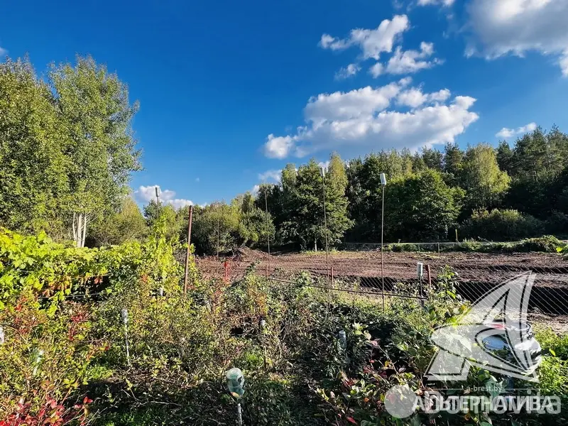 Купить земельный участок, 5 соток, Ветеран-92, Брестская область, 17880BYN, код 572588 - фото 11