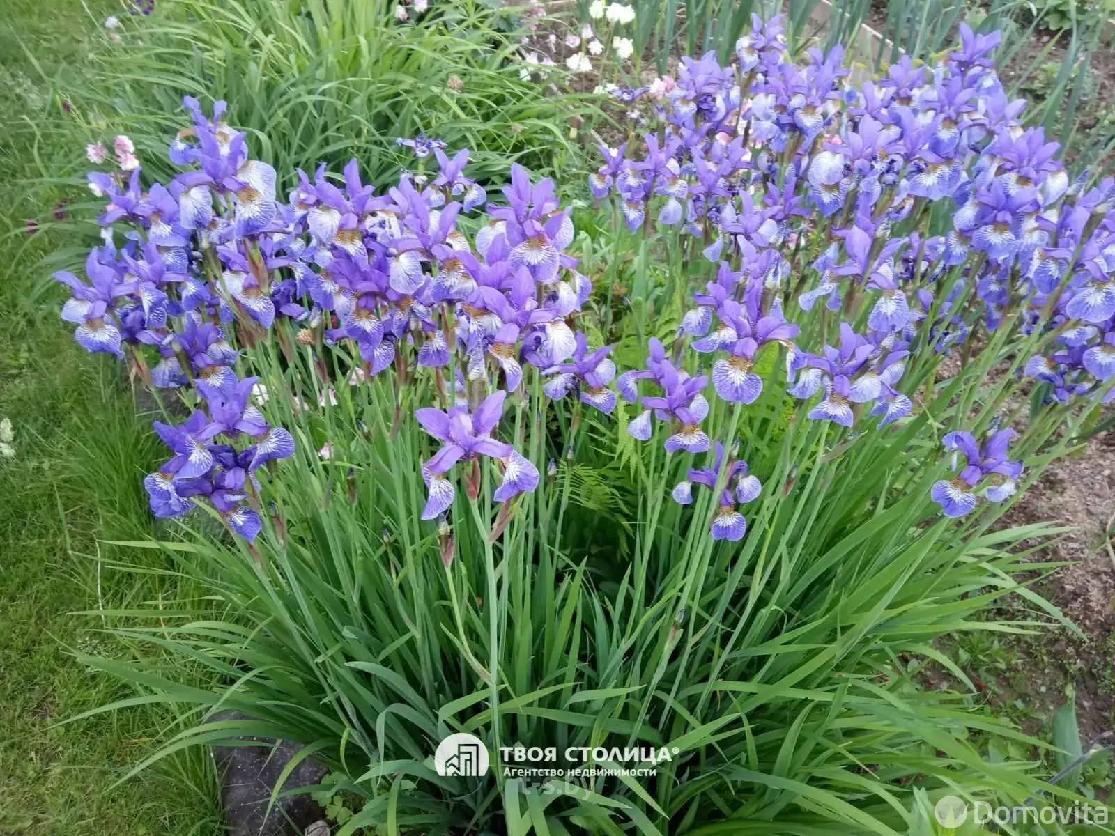 Купить 2-этажную дачу в Юхновке Минская область, 55000USD, код 181716 - фото 25