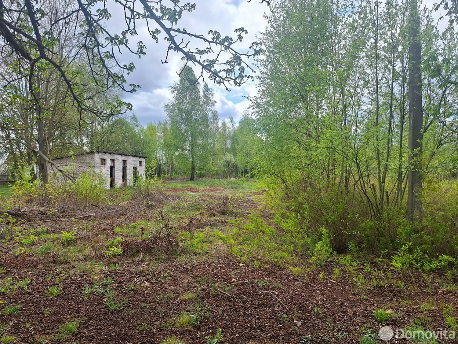 продажа объекта сферы услуг, Засковичи, 