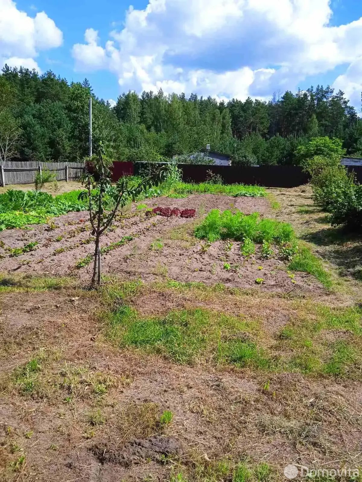 дача, Костюки, ул. Лесная