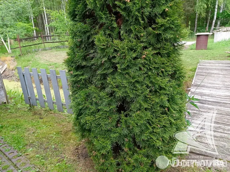 Купить земельный участок, 6.97 соток, Журавинка-83, Брестская область, 11500USD, код 570456 - фото 19