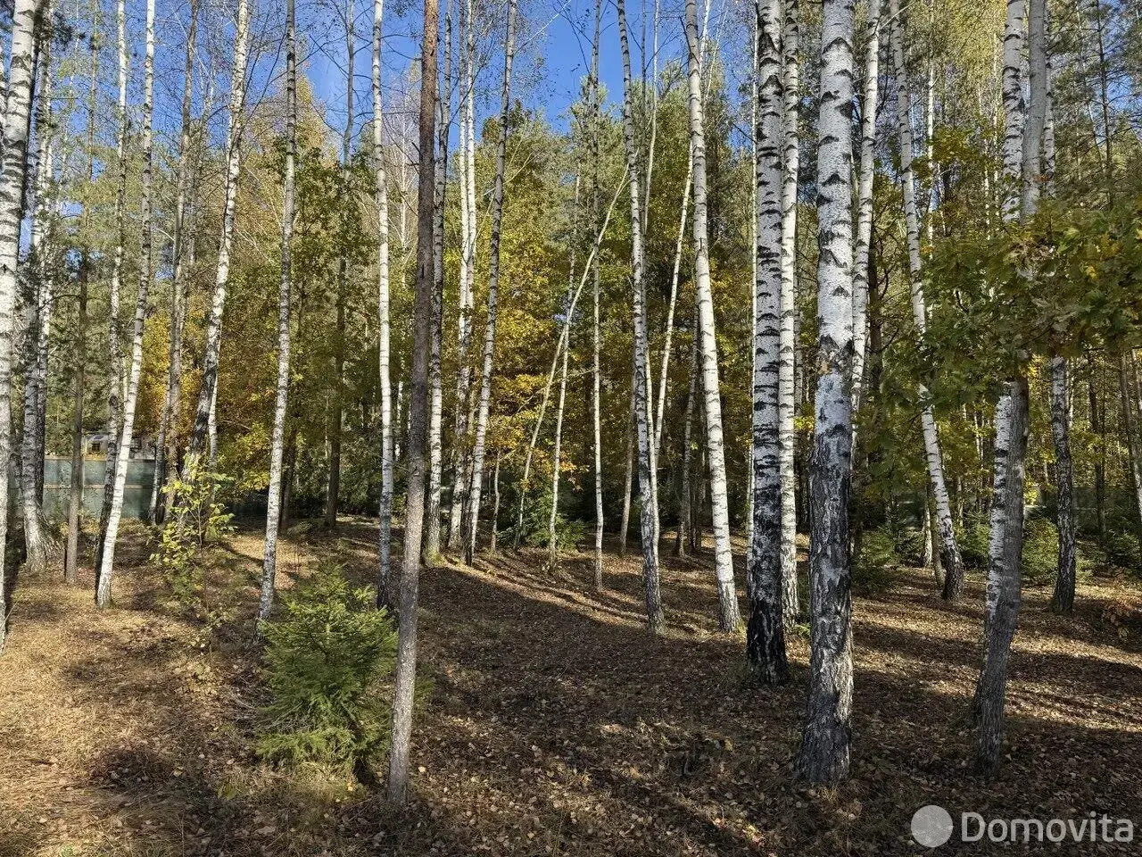 участок, Колодищи, ул. Алмазная 