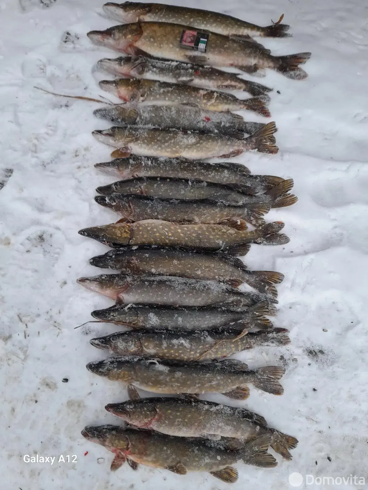 дача, Полочаны, ул. Советская, д. 157 без посредников