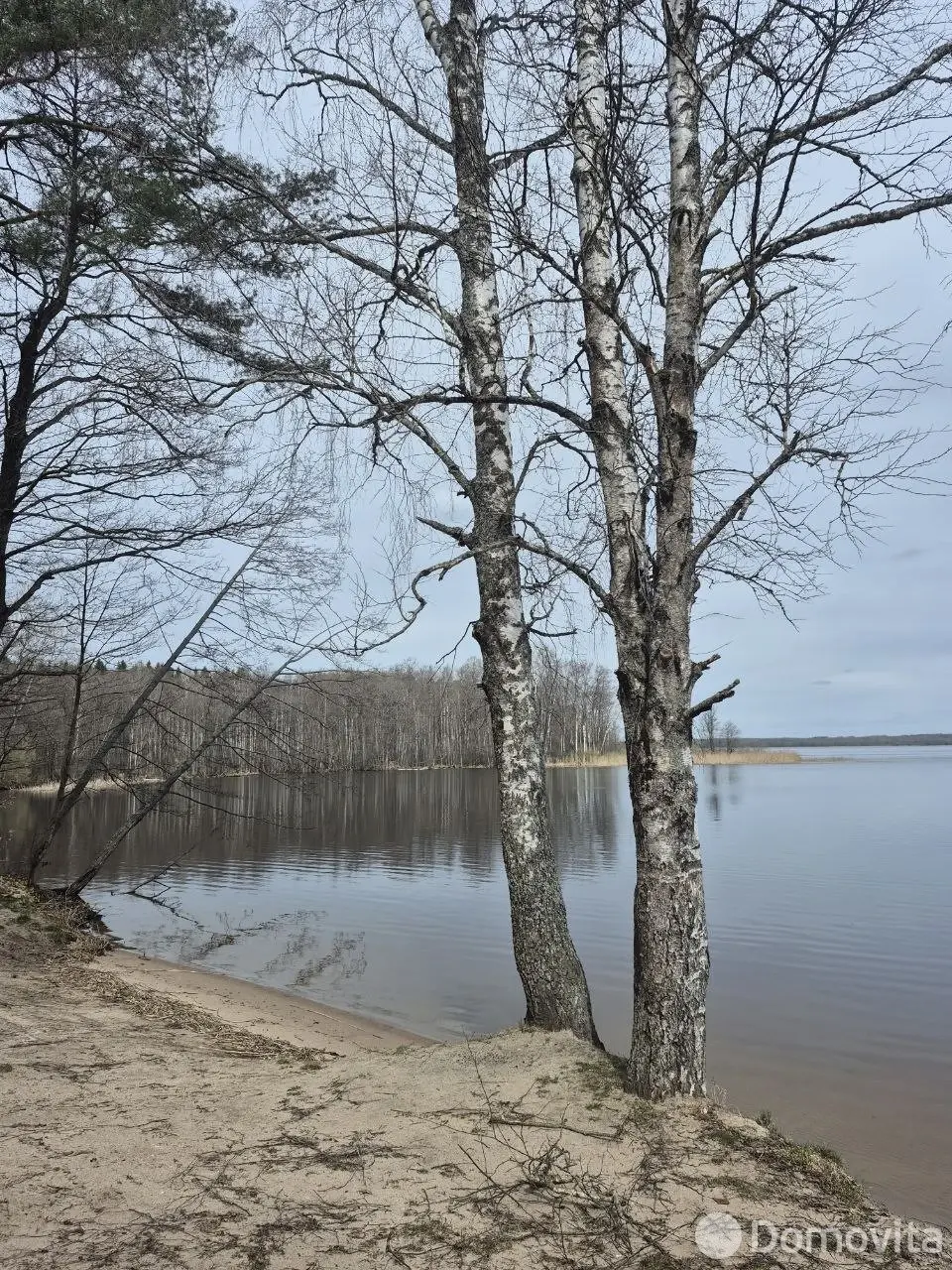 Купить земельный участок, 4.66 соток, Лосвидо, Витебская область, 11500USD, код 571887 - фото 26