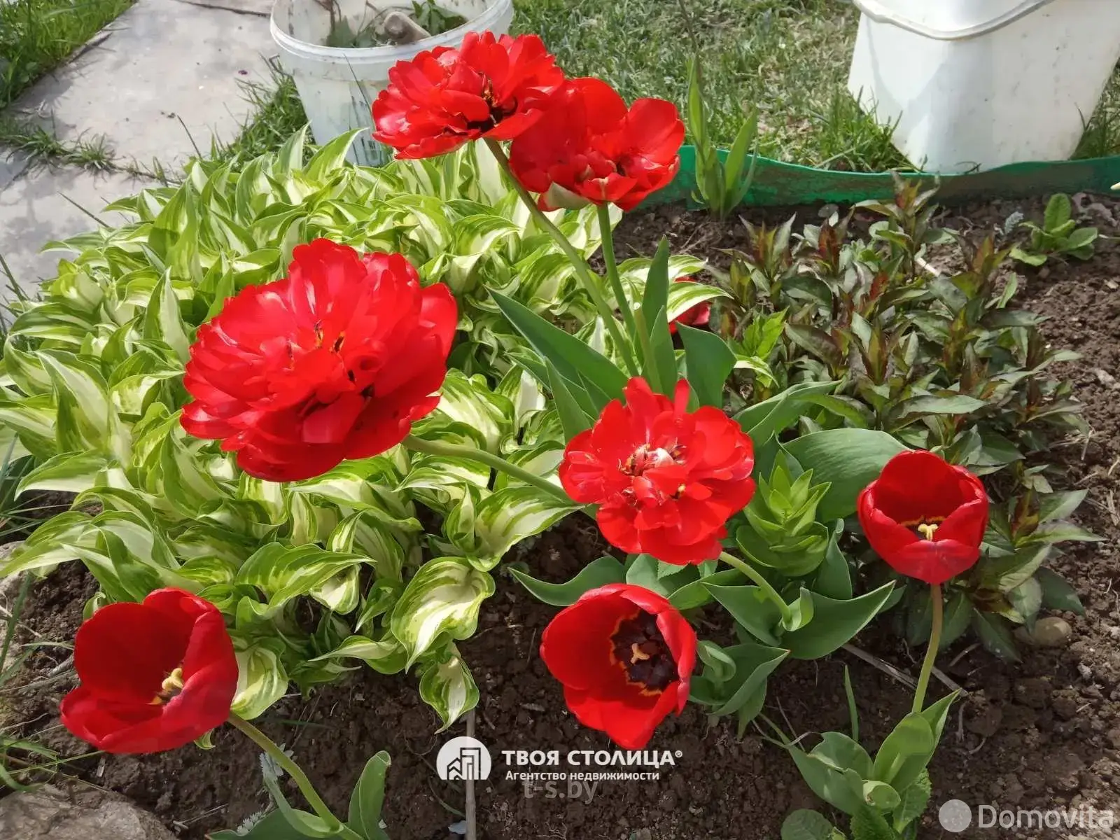 Купить 2-этажную дачу в Юхновке Минская область, 55000USD, код 181716 - фото 28