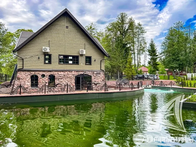 купить дом, Детковичи,