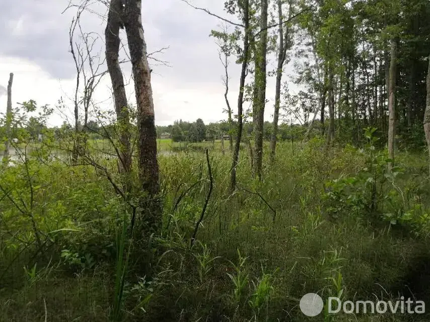 Купить земельный участок, 60 соток, Должа, Витебская область, 25000USD, код 570473 - фото 23